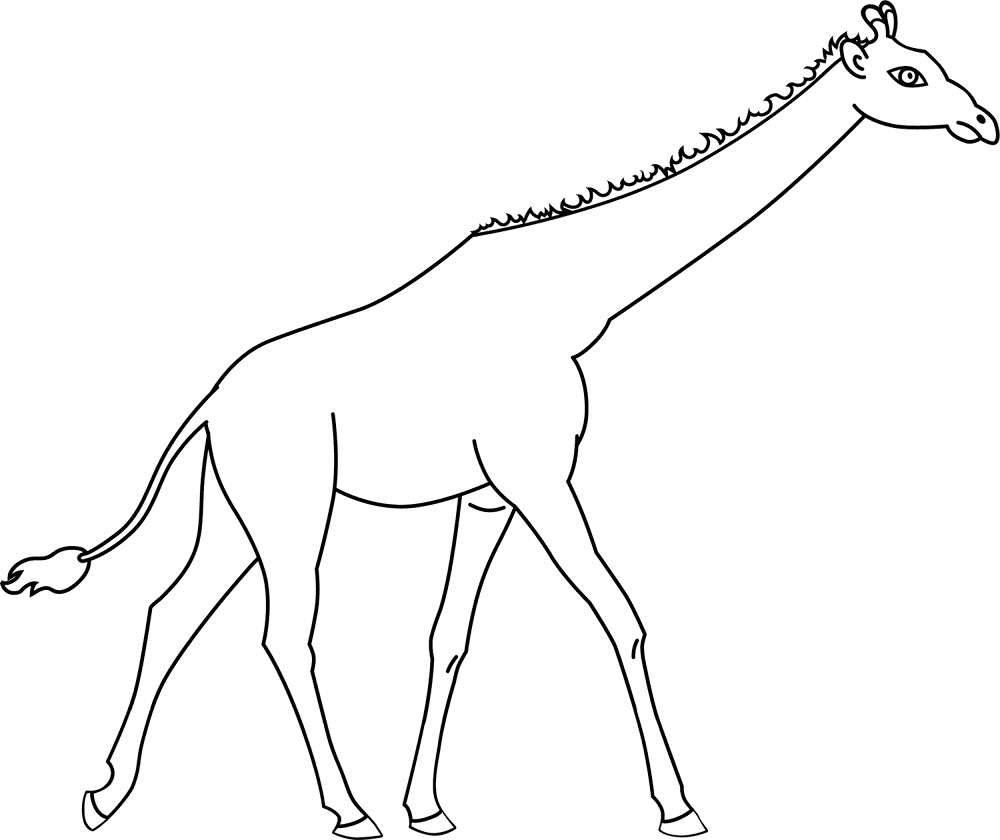 Giraffe Spot