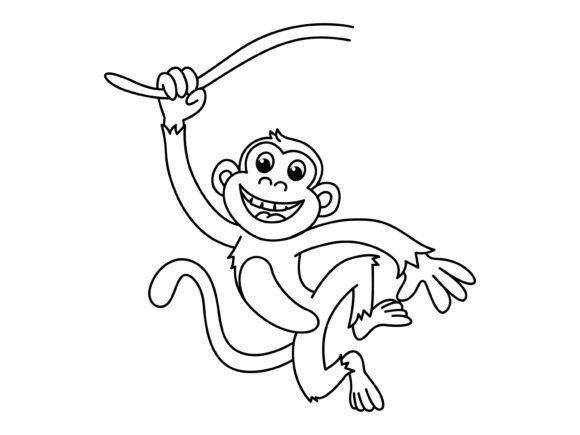 Monkey Fun