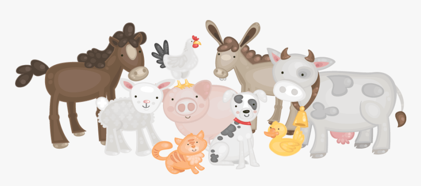 Animals